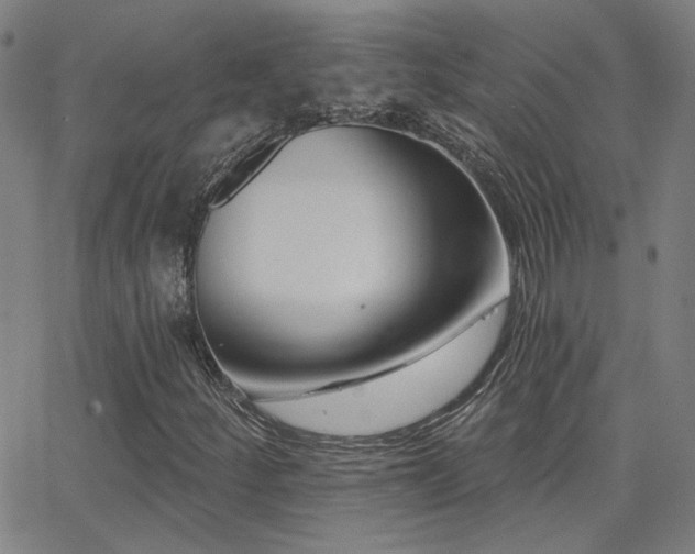 X0000062861252200601131406