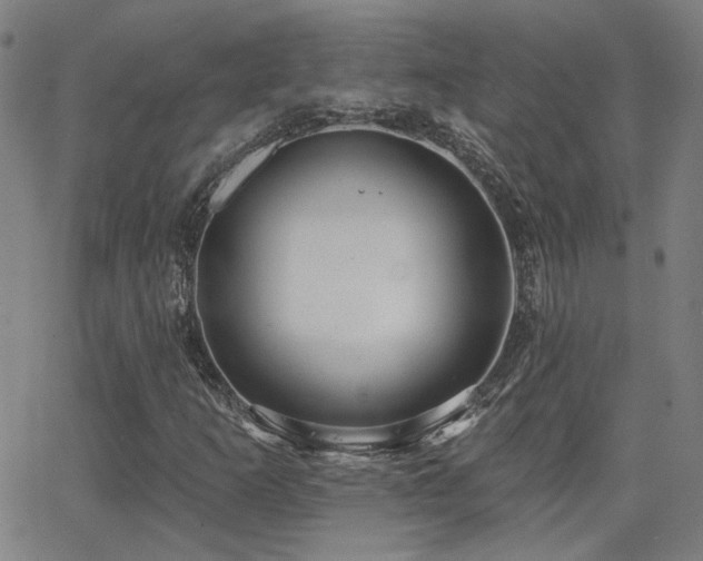 X0000062861253200601131406