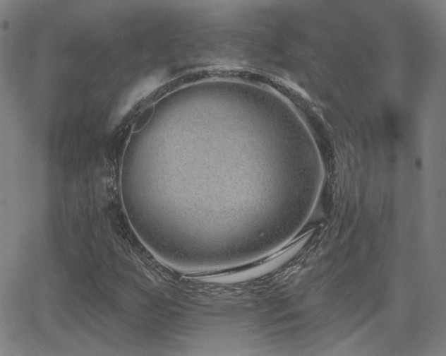 X0000062861255200601131406