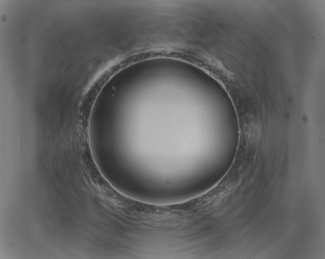 X0000062861256200601131406