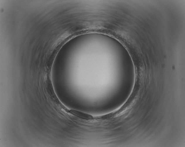X0000062861257200601131406