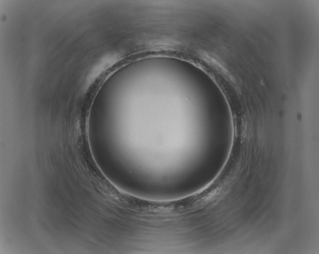 X0000062861261200601131406