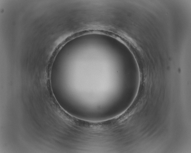 X0000062861264200601131406
