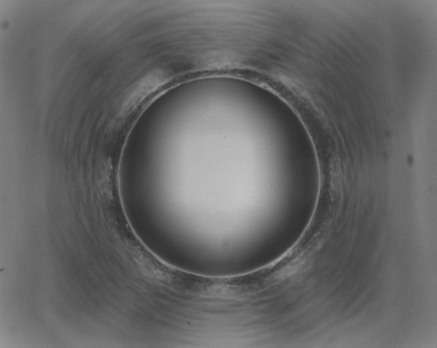 X0000062861265200601131406