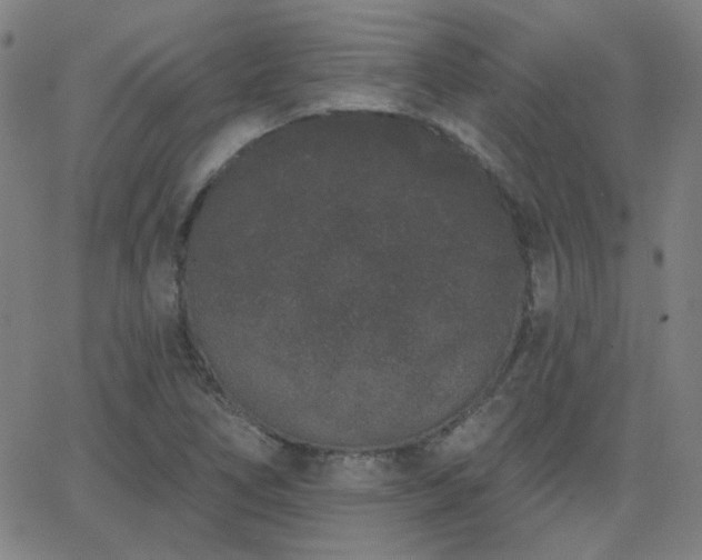 X0000062861266200601131406