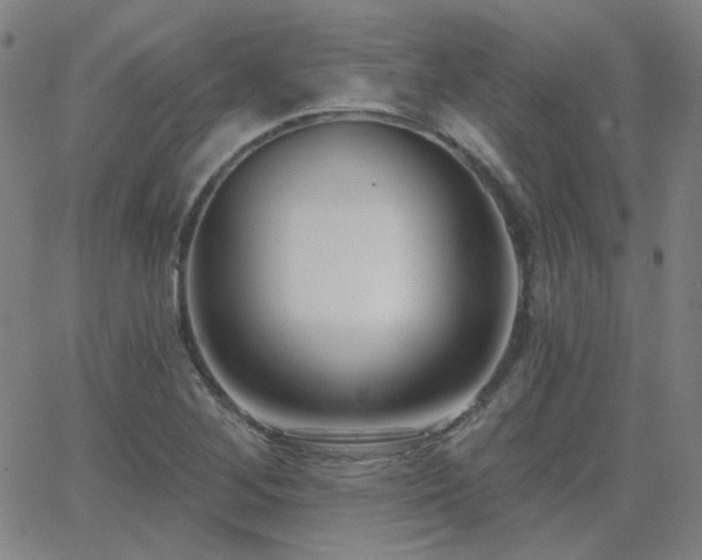 X0000062861268200601131406