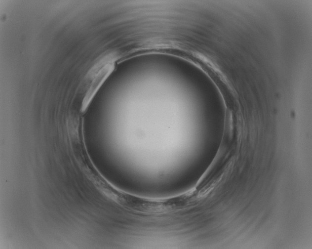 X0000062861273200601131406