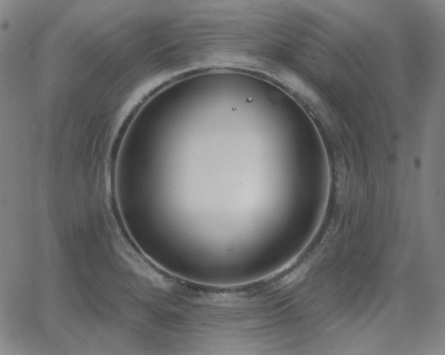 X0000062861280200601131406