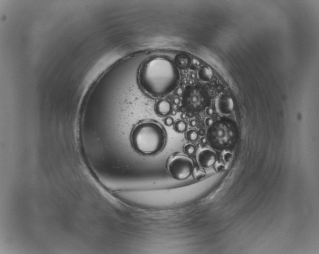 X0000062861285200601131406