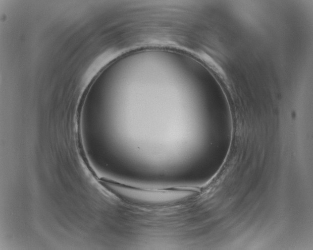 X0000062861287200601131406
