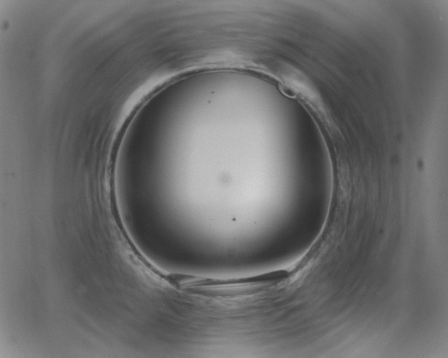 X0000062861288200601131406