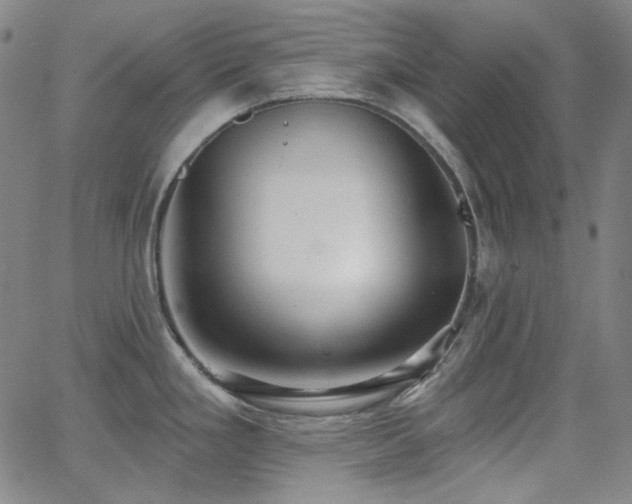 X0000062861293200601131406