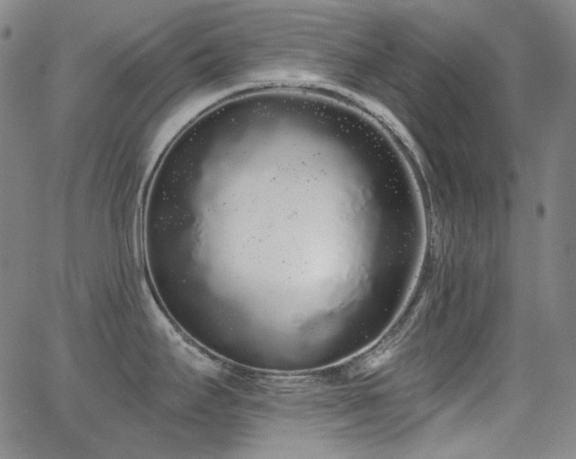 X0000062861295200601131406