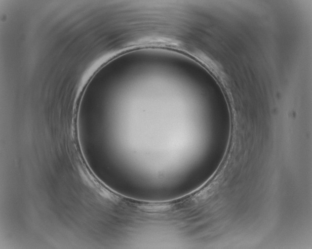 X0000062861296200601131406
