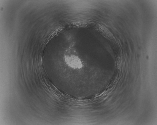 X0000062861298200601131405