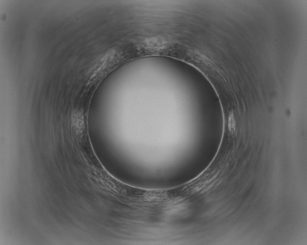 X0000062861299200601131405