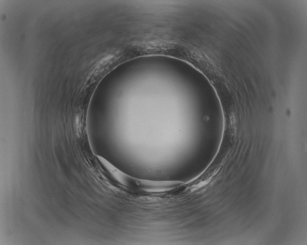 X0000062861300200601131405