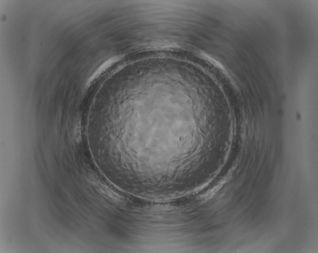 X0000062861306200601131405