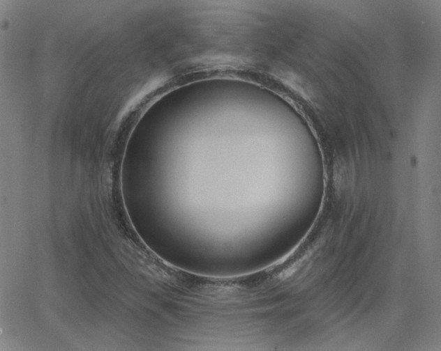 X0000062861309200601131405