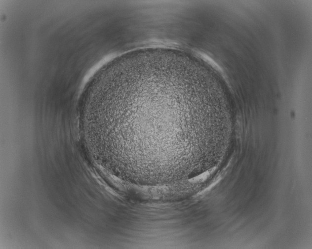 X0000062861310200601131405