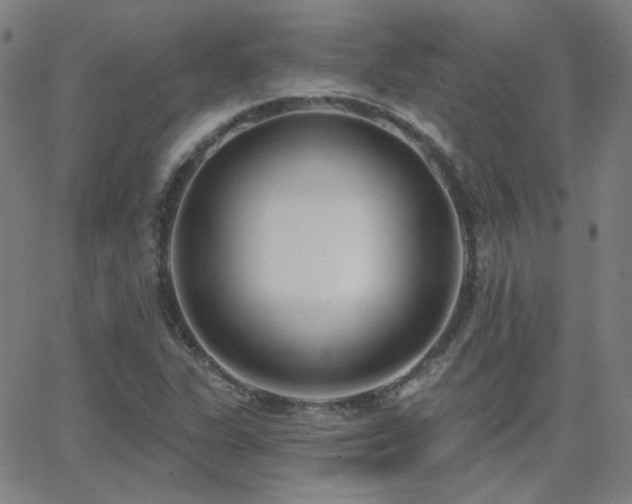 X0000062861311200601131405