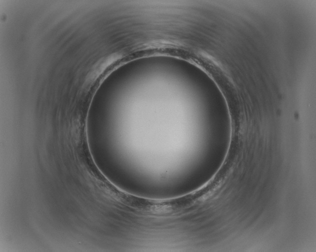 X0000062861313200601131405