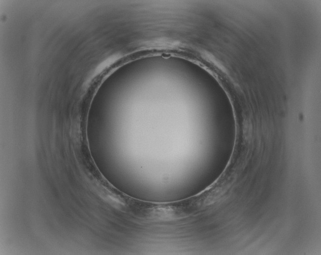 X0000062861315200601131405