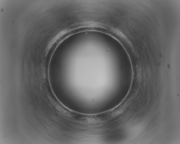 X0000062861318200601131405