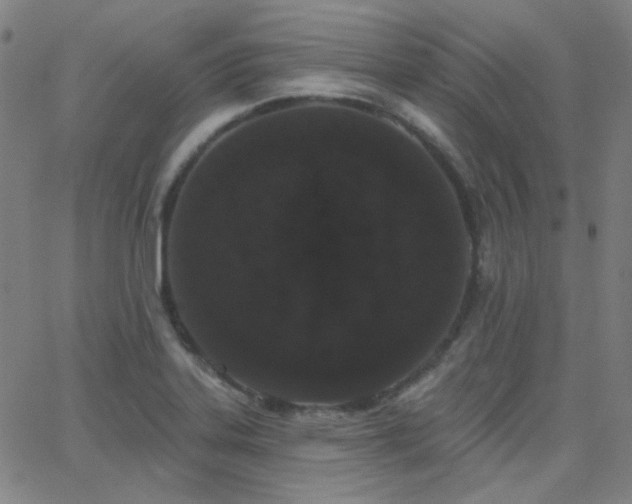 X0000062861323200601131405