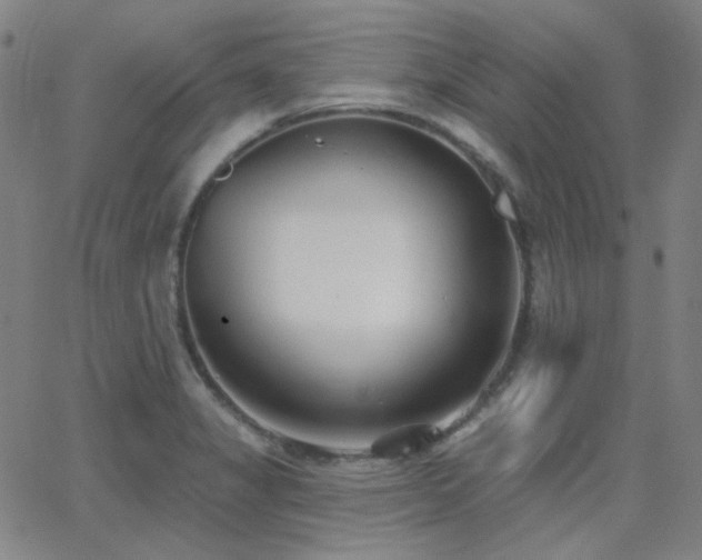 X0000062861325200601131405