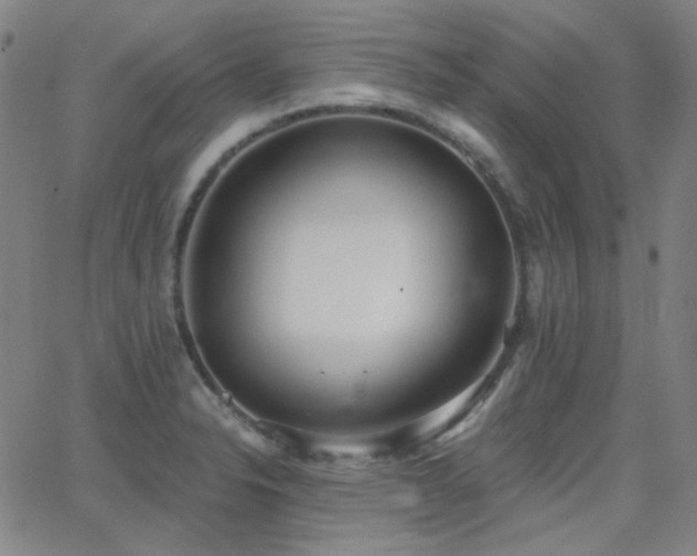 X0000062861326200601131405