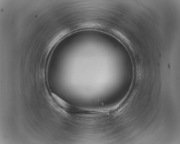 X0000062861330200601131405