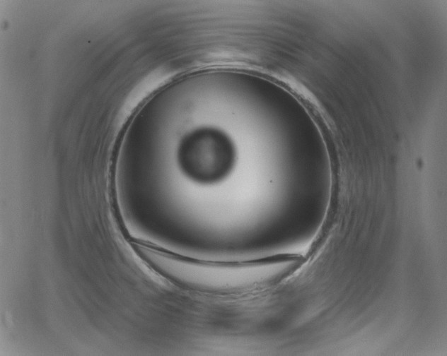 X0000062861333200601131405