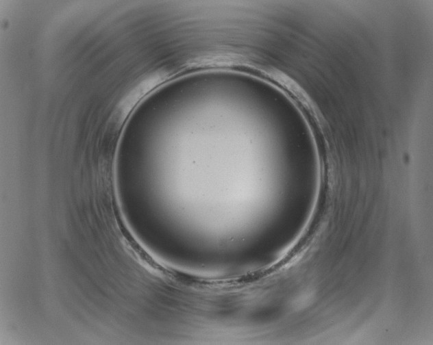 X0000062861337200601131406