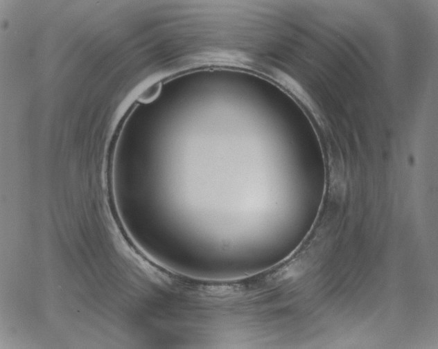 X0000062861339200601131406