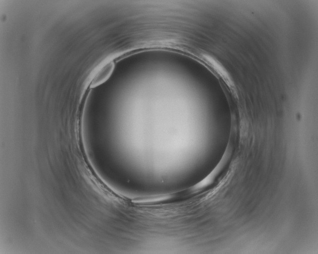 X0000062861340200601131406