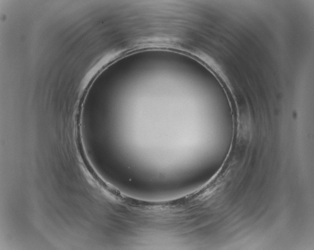 X0000062861341200601131406