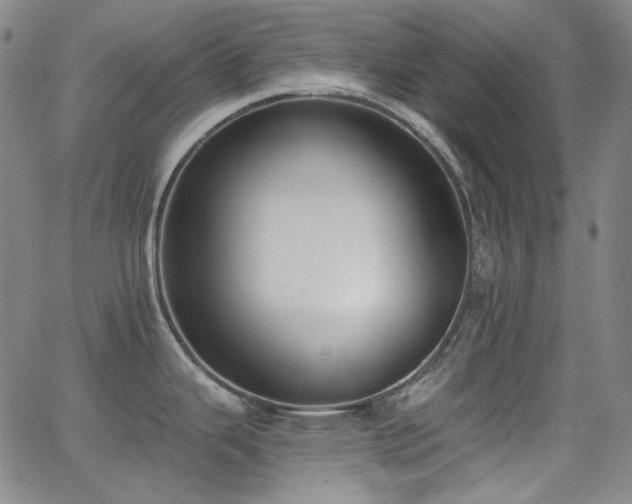 X0000062861343200601131406