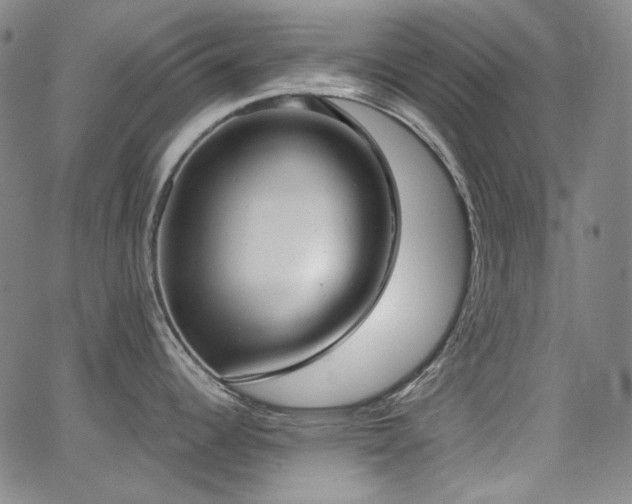 X0000062861344200601131406