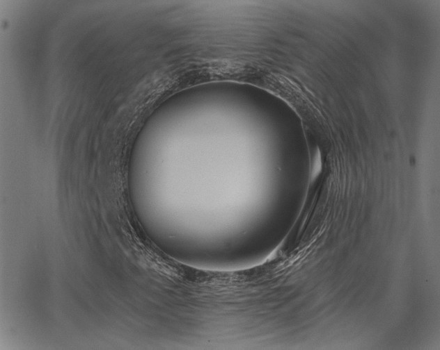 X0000062861345200601131405