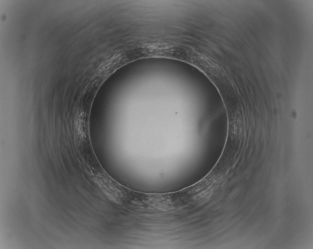 X0000062861346200601131405