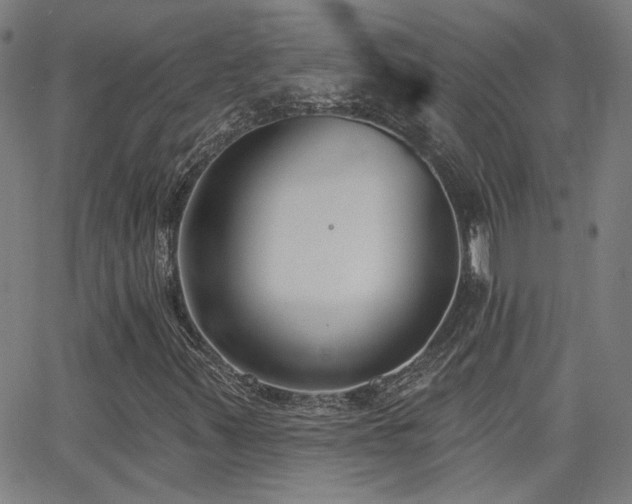 X0000062861347200601131405