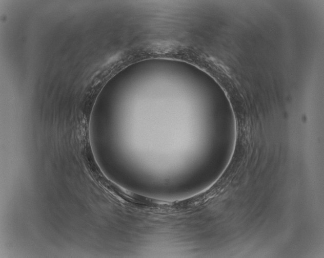 X0000062861349200601131405