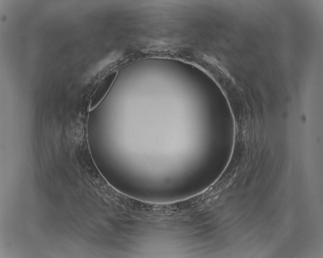 X0000062861350200601131405