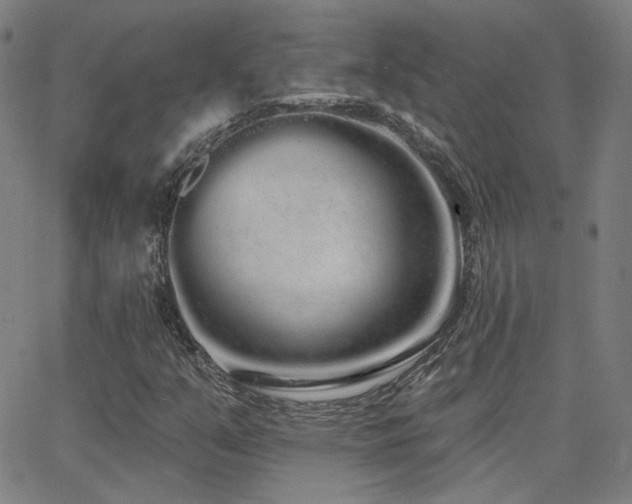X0000062861351200601131405