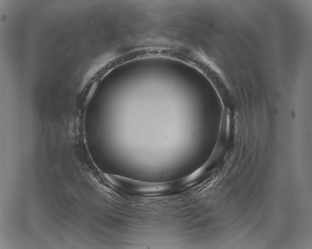 X0000062861352200601131405