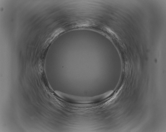 X0000062861353200601131405