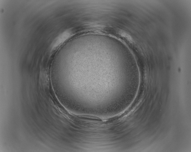 X0000062861354200601131405