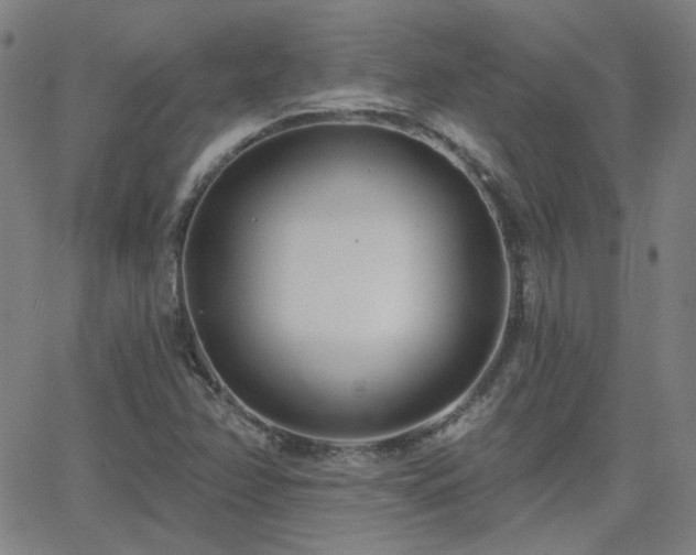 X0000062861358200601131405