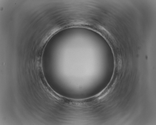 X0000062861361200601131405
